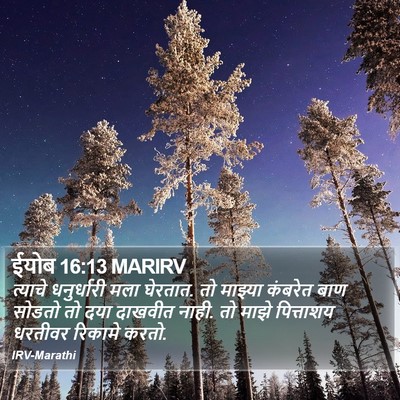 ईयोब 16:13 MARIRV Bible Verse Image