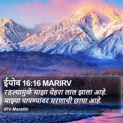 ईयोब 16:16 MARIRV Bible Verse Image