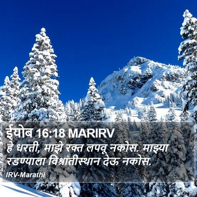ईयोब 16:18 MARIRV Bible Verse Image