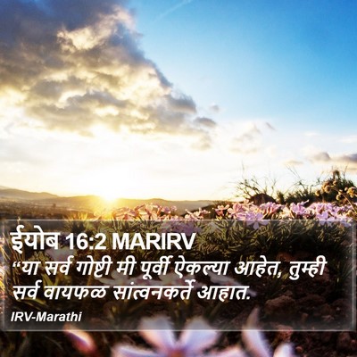 ईयोब 16:2 MARIRV Bible Verse Image