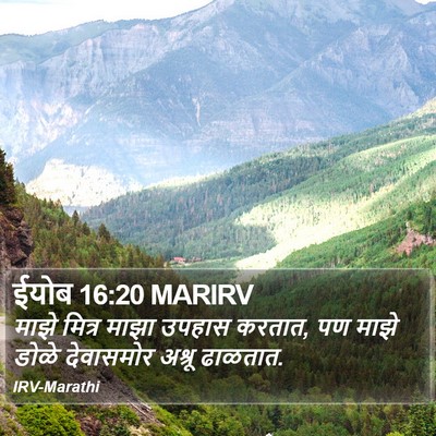 ईयोब 16:20 MARIRV Bible Verse Image