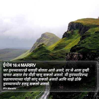 ईयोब 16:4 MARIRV Bible Verse Image