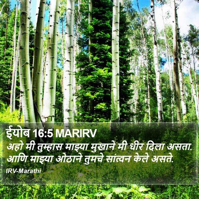 ईयोब 16:5 MARIRV Bible Verse Image