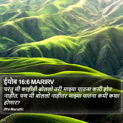 ईयोब 16:6 MARIRV Bible Verse Image
