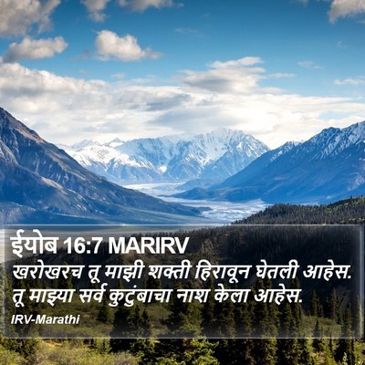 ईयोब 16:7 MARIRV Bible Verse Image