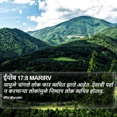 ईयोब 17:8 MARIRV Bible Verse Image