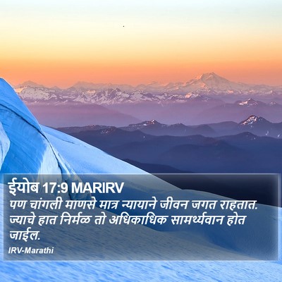ईयोब 17:9 MARIRV Bible Verse Image