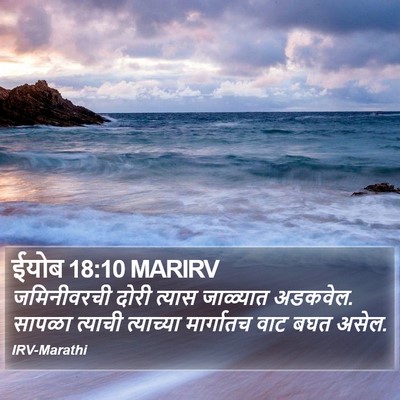 ईयोब 18:10 MARIRV Bible Verse Image