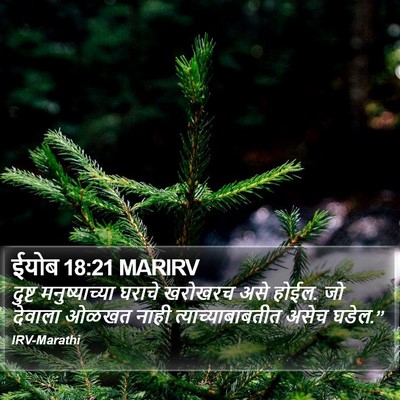ईयोब 18:21 MARIRV Bible Verse Image