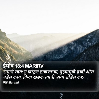 ईयोब 18:4 MARIRV Bible Verse Image