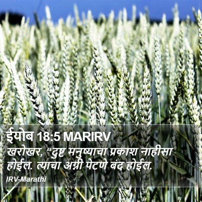 ईयोब 18:5 MARIRV Bible Verse Image
