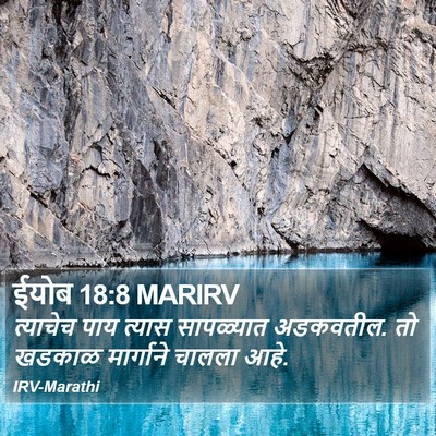 ईयोब 18:8 MARIRV Bible Verse Image