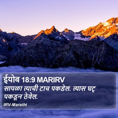 ईयोब 18:9 MARIRV Bible Verse Image