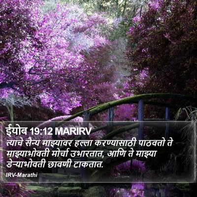 ईयोब 19:12 MARIRV Bible Verse Image