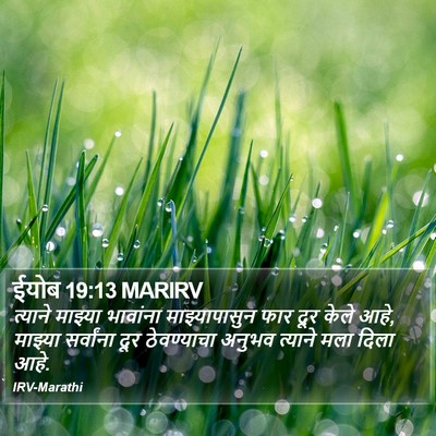 ईयोब 19:13 MARIRV Bible Verse Image