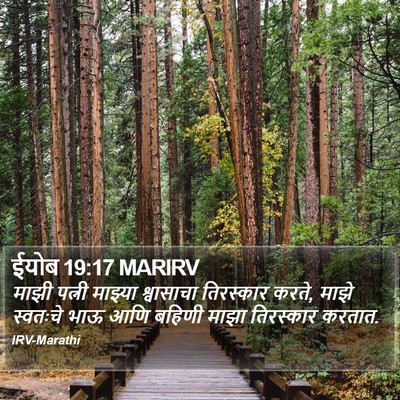 ईयोब 19:17 MARIRV Bible Verse Image