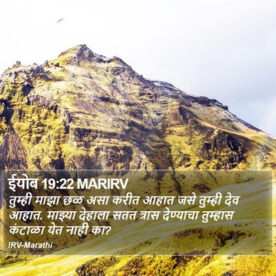 ईयोब 19:22 MARIRV Bible Verse Image