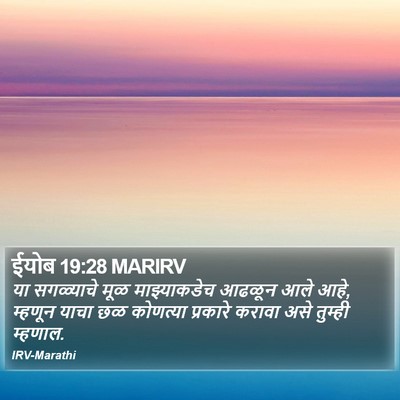 ईयोब 19:28 MARIRV Bible Verse Image