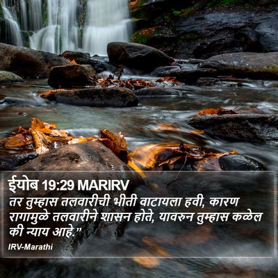 ईयोब 19:29 MARIRV Bible Verse Image