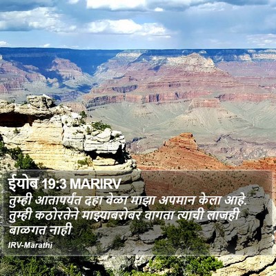 ईयोब 19:3 MARIRV Bible Verse Image