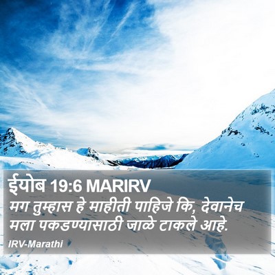 ईयोब 19:6 MARIRV Bible Verse Image