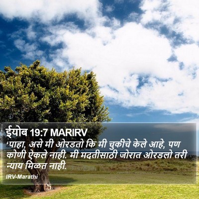 ईयोब 19:7 MARIRV Bible Verse Image