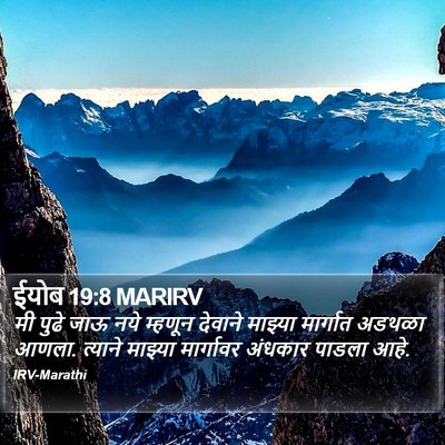 ईयोब 19:8 MARIRV Bible Verse Image
