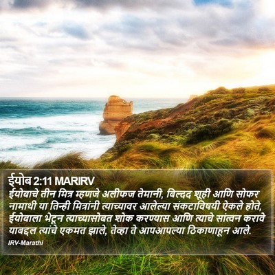 ईयोब 2:11 MARIRV Bible Verse Image