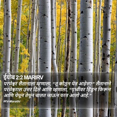 ईयोब 2:2 MARIRV Bible Verse Image