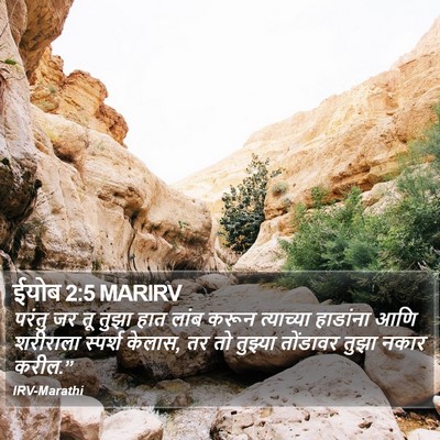 ईयोब 2:5 MARIRV Bible Verse Image