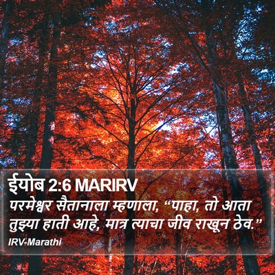 ईयोब 2:6 MARIRV Bible Verse Image