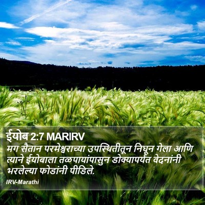 ईयोब 2:7 MARIRV Bible Verse Image