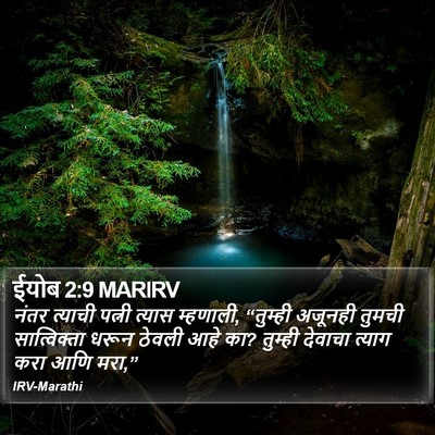 ईयोब 2:9 MARIRV Bible Verse Image