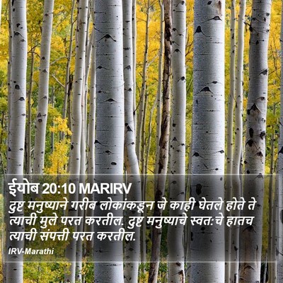 ईयोब 20:10 MARIRV Bible Verse Image