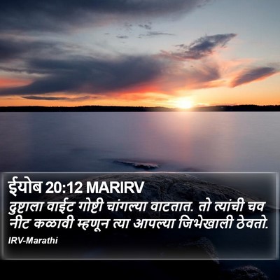 ईयोब 20:12 MARIRV Bible Verse Image