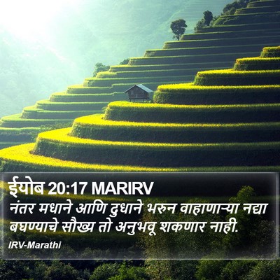 ईयोब 20:17 MARIRV Bible Verse Image