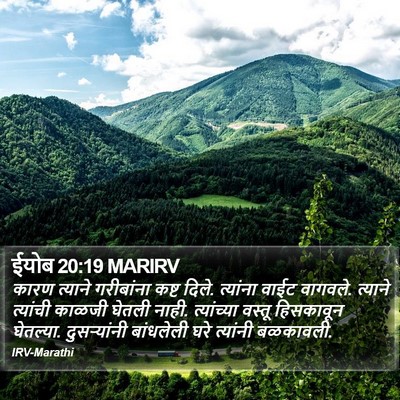 ईयोब 20:19 MARIRV Bible Verse Image