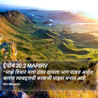 ईयोब 20:2 MARIRV Bible Verse Image