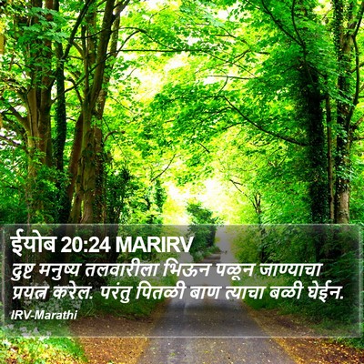 ईयोब 20:24 MARIRV Bible Verse Image