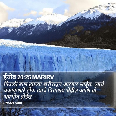 ईयोब 20:25 MARIRV Bible Verse Image