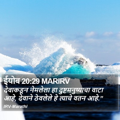 ईयोब 20:29 MARIRV Bible Verse Image