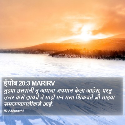 ईयोब 20:3 MARIRV Bible Verse Image