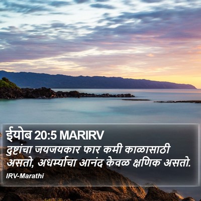 ईयोब 20:5 MARIRV Bible Verse Image