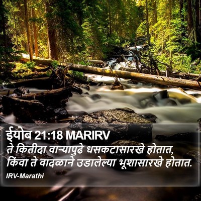ईयोब 21:18 MARIRV Bible Verse Image