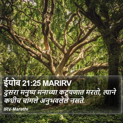 ईयोब 21:25 MARIRV Bible Verse Image