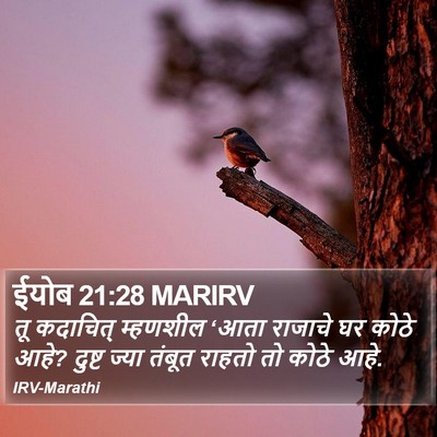 ईयोब 21:28 MARIRV Bible Verse Image