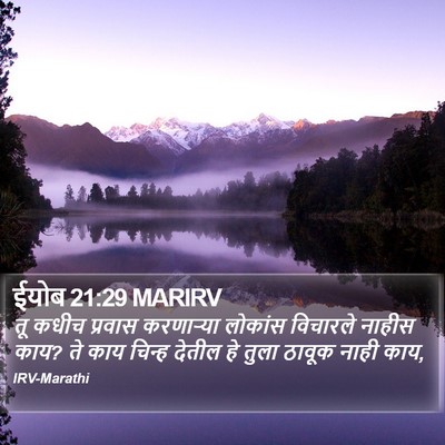 ईयोब 21:29 MARIRV Bible Verse Image