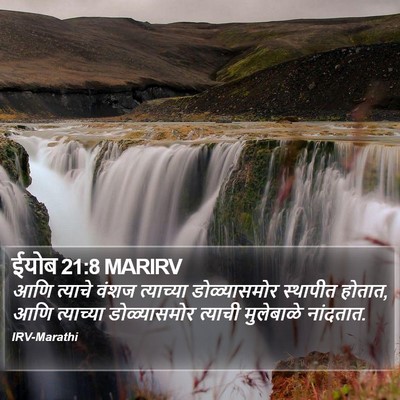 ईयोब 21:8 MARIRV Bible Verse Image