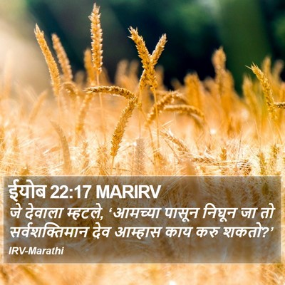 ईयोब 22:17 MARIRV Bible Verse Image