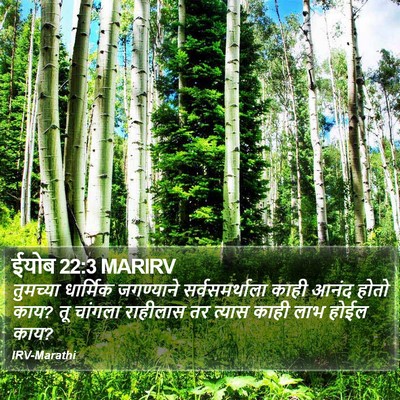 ईयोब 22:3 MARIRV Bible Verse Image